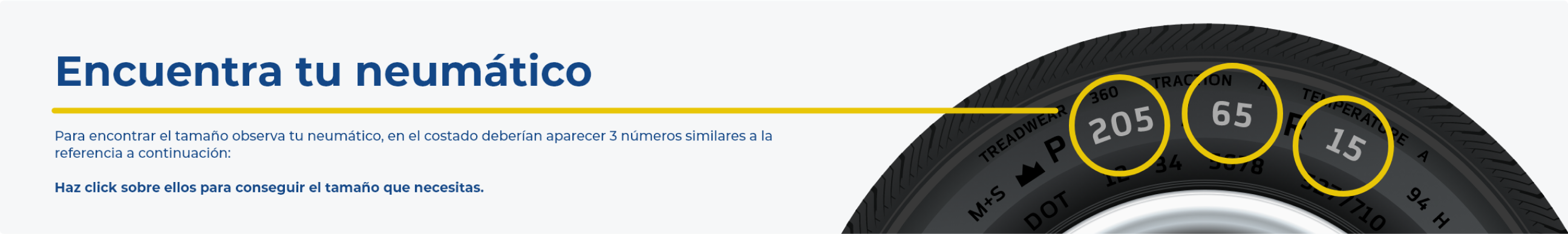 Productos
